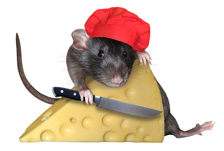 Damages: An improvisational approach to jury verdicts Damages: An improvisational approach to jury verdicts