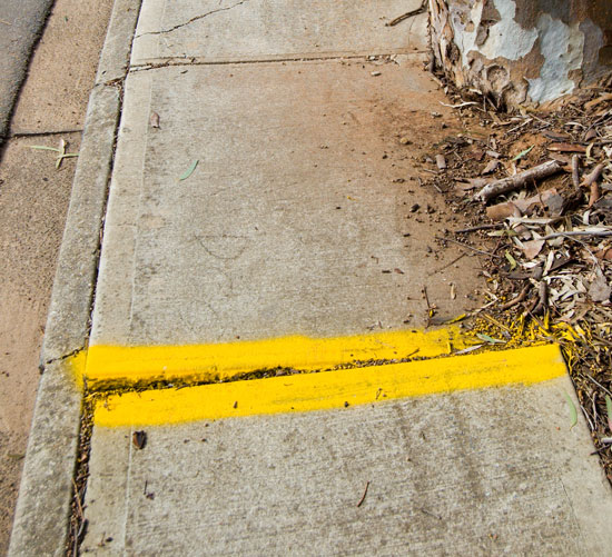 Issues to consider when litigating a sidewalk case 