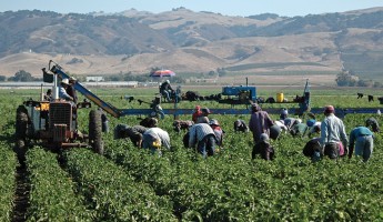 Claims, remedies, and discovery when representing undocumented workers