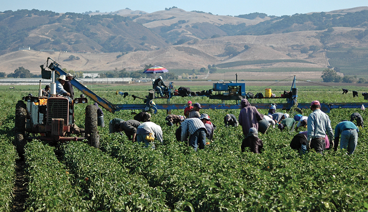 Claims, remedies, and discovery when representing undocumented workers