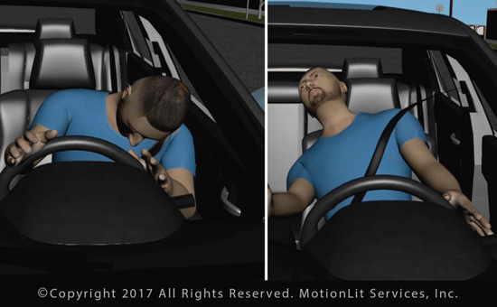 Producing trial-ready animation using experts’ data and analysis