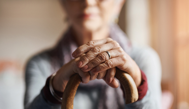 Elder Abuse and Dependent Adult Civil Protection Act – Litigation 101