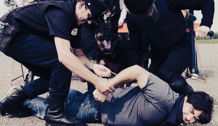 Interlocutory appeals in police excessive-force cases