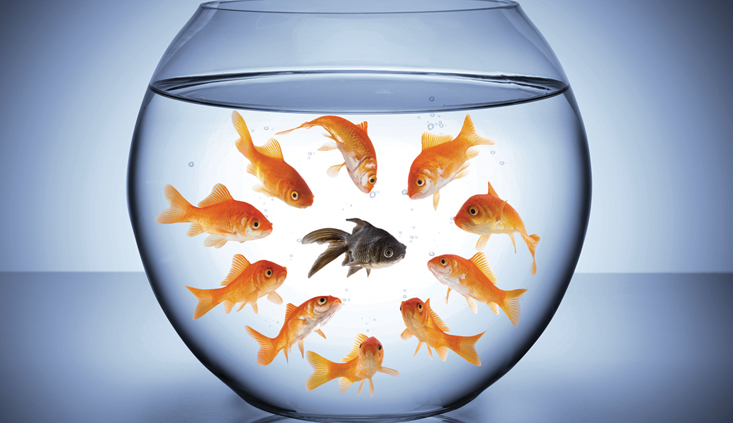 Implicit bias in decision-making and mediation Implicit bias in decision-making and mediation