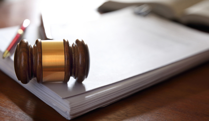 Using the standard of review to craft a persuasive brief