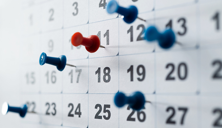 Pre-litigation through litigation: A timeline Pre-litigation through litigation: A timeline