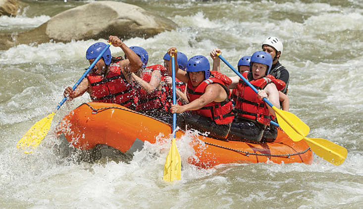 Sports and recreational activities Sports and recreational activities