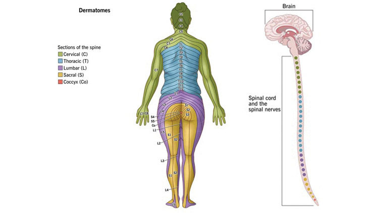 Don’t overlook <em>any</em> of your client’s injuries