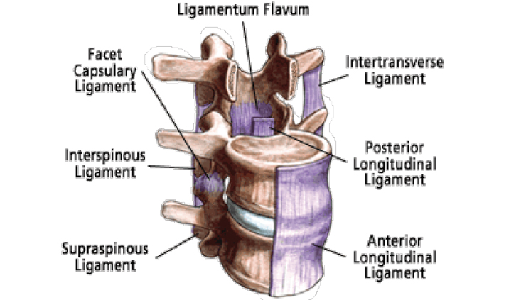 Don’t overlook <em>any</em> of your client’s injuries