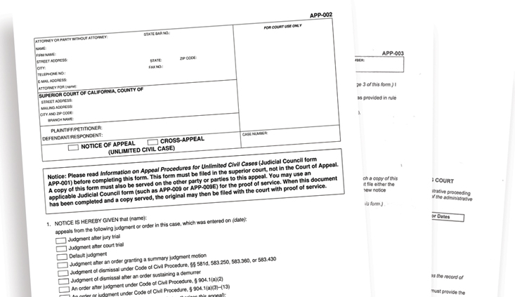 Pitfalls and hazards when perfecting a civil appeal